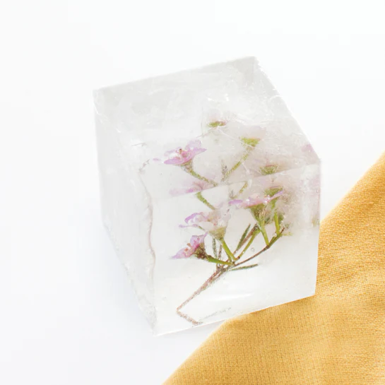 Cube Ice Molds - Image 9